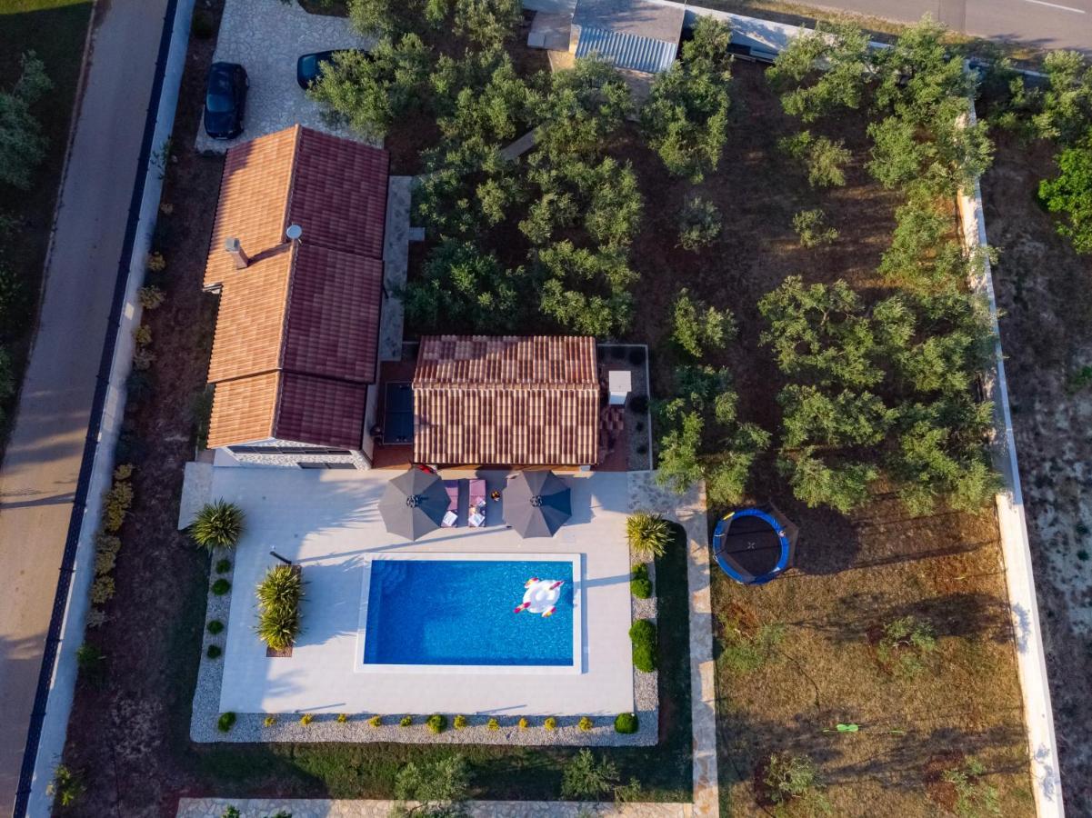Villa Lorema-Pet Friendly On 5000 Sqm Garden,Pool, Jacuzzi, Billiard&Ps5 Sveti Filip i Jakov Exteriör bild