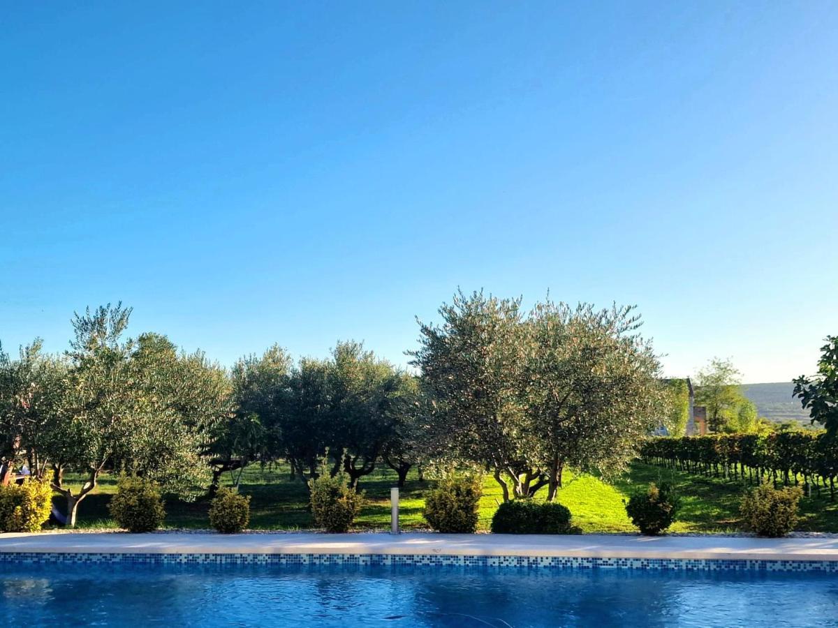Villa Lorema-Pet Friendly On 5000 Sqm Garden,Pool, Jacuzzi, Billiard&Ps5 Sveti Filip i Jakov Exteriör bild