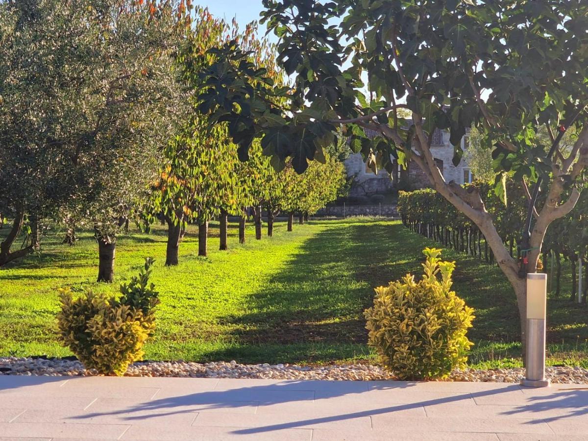 Villa Lorema-Pet Friendly On 5000 Sqm Garden,Pool, Jacuzzi, Billiard&Ps5 Sveti Filip i Jakov Exteriör bild