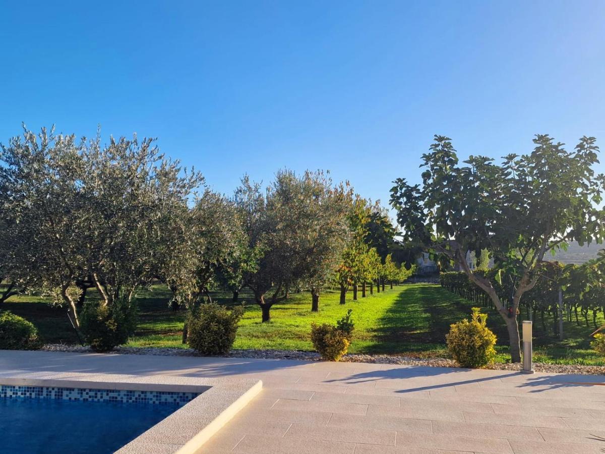 Villa Lorema-Pet Friendly On 5000 Sqm Garden,Pool, Jacuzzi, Billiard&Ps5 Sveti Filip i Jakov Exteriör bild